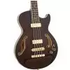 Ibanez AGB 200 TBR