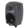 Genelec 8030AP