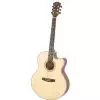 Dowina JCE999S-LE