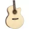 Dowina JCE999S-LE