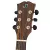 Dowina JCE999S-LE