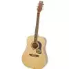 Washburn D10S