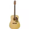 Washburn D10S