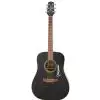 Takamine G321