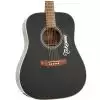 Takamine G321
