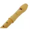 Mollenhauer 2166 Canta
