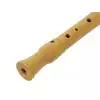 Mollenhauer 2156 Canta