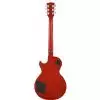 Gibson Les Paul Standard 2013 Premium Birdseye TS