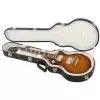 Gibson Les Paul Standard 2013 Premium Birdseye TS