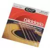 D′Addario EXP 17