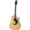 Takamine GD10CE-NS