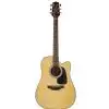 Takamine GD10CE-NS