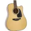Takamine GD10CE-NS
