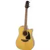 Takamine GD30CE-NAT