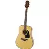 Takamine GD10-NS