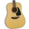 Takamine GD10-NS