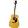 Takamine GD30-NAT