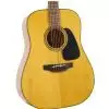 Takamine GD30-NAT