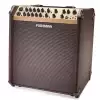 Fishman Loudbox Performer