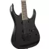 Ibanez RGD320Z BK