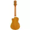 Washburn U50 LCE N