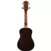 Washburn U30 N