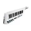 Alesis Vortex Keytar
