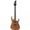 Ibanez RG421-MOL