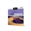 D′Addario EXP 26