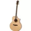 Ibanez AEW 21 VK NT