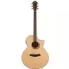 Ibanez AEW 21 VK NT