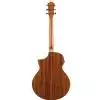 Ibanez AEW 21 VK NT