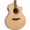 Ibanez AEW 21 VK NT