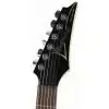 Ibanez FR 420 BBT