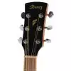Ibanez PN 15 BS