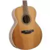 Takamine GN20-NS