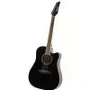 Ibanez LE 300 BK