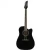 Ibanez LE 300 BK
