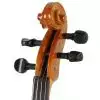 Strunal 150 ″Stradivarius″