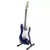 Cort STAT3 BM