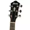 Ibanez AEG 10 II VS