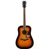 Ibanez AW300 VS