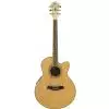 Ibanez AEL 20 E NT