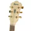 Ibanez AEL 20 E NT