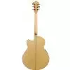 Ibanez AEL 20 E NT