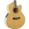 Ibanez AEL 20 E NT