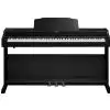 Roland RP 401R CB