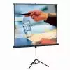 Projecta Professional Standard 213x213 Matte White