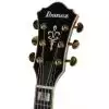 Ibanez AS153-AYS
