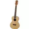 Hoefner Ukulele ′13 Tenor